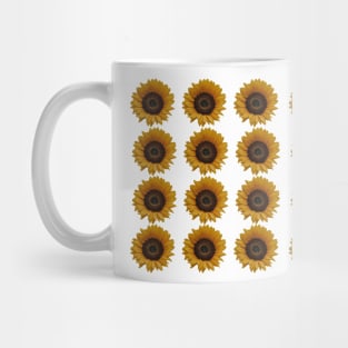 color image of a sunflower, flowers that rotates behind the sun Mug